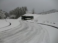 雪道教育の様子